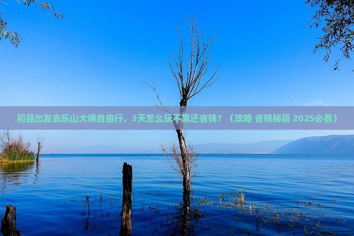 和县到四川乐山大佛自由行