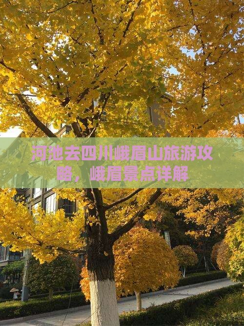 河池去四川峨眉山景点