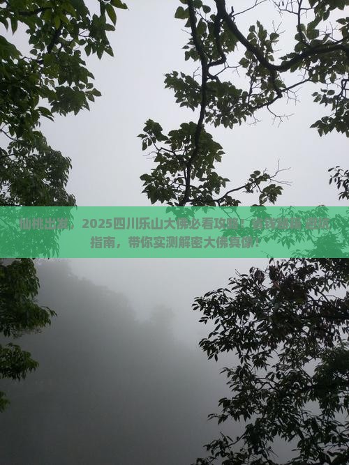 仙桃到四川乐山大佛景点