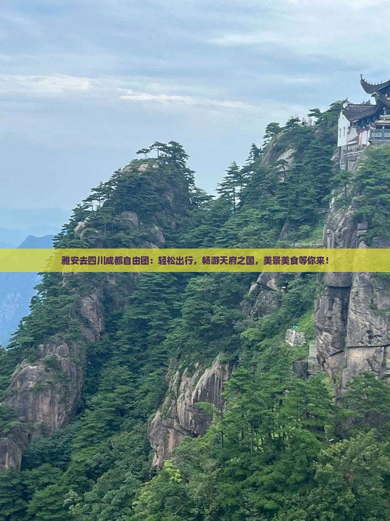 雅安去四川成都自由团