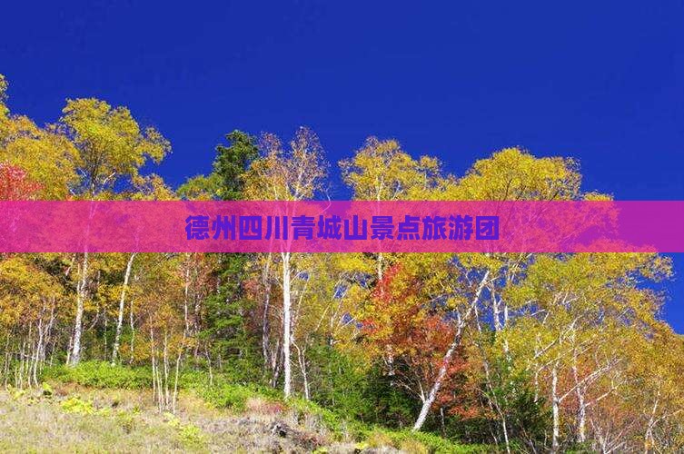 德州去四川青城山自由团