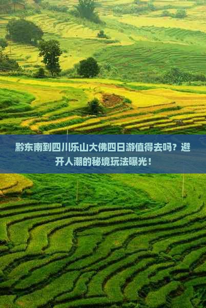 黔东南到四川乐山大佛四日游