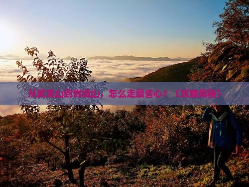 武夷山去四川青城山旅行社