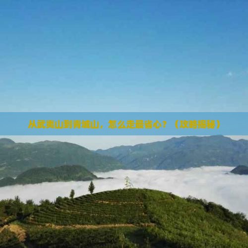 武夷山去四川青城山旅行社