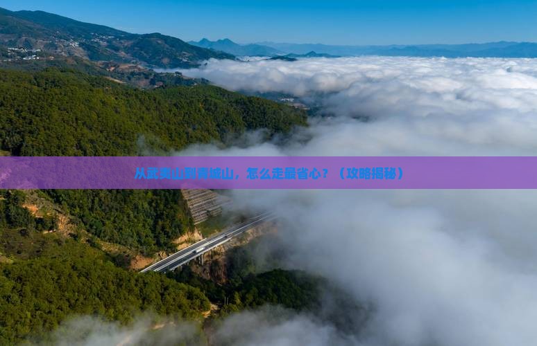武夷山去四川青城山旅行社