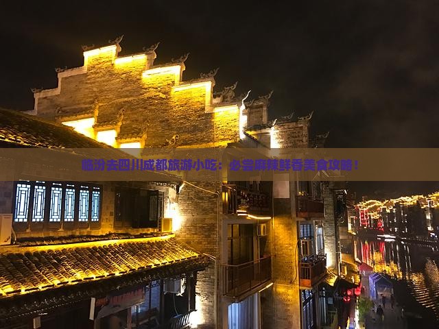 临汾去四川成都旅游小吃