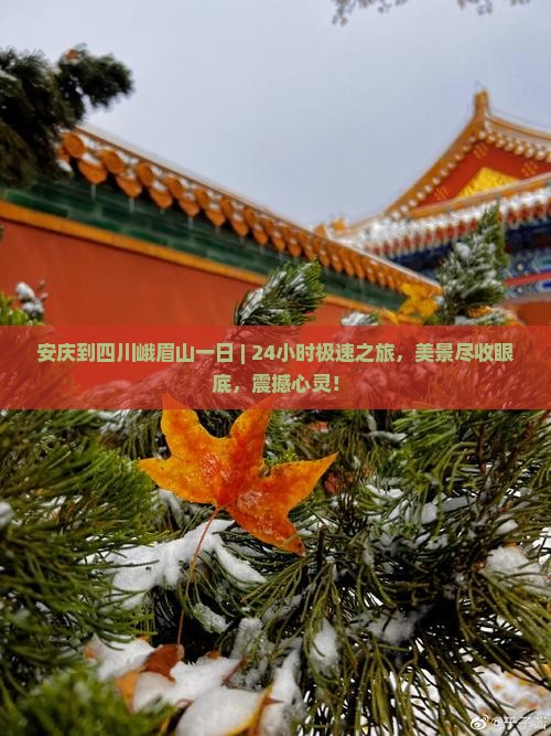 安庆到四川峨眉山一日 安庆到四川峨眉山一日