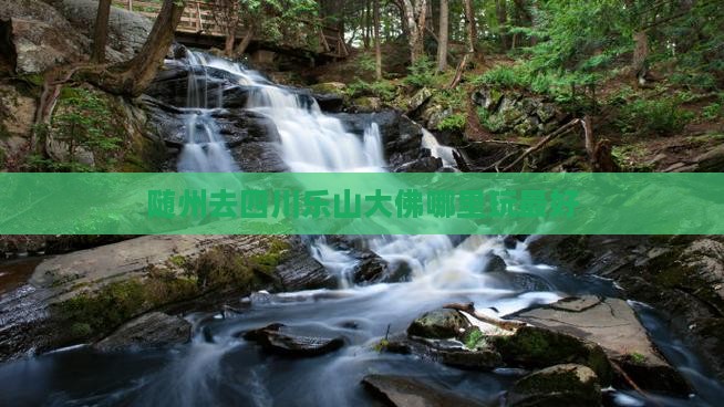 随州去四川乐山大佛哪里玩 随州去四川乐山大佛哪里玩