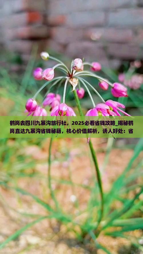 鹤岗去四川九寨沟旅行社