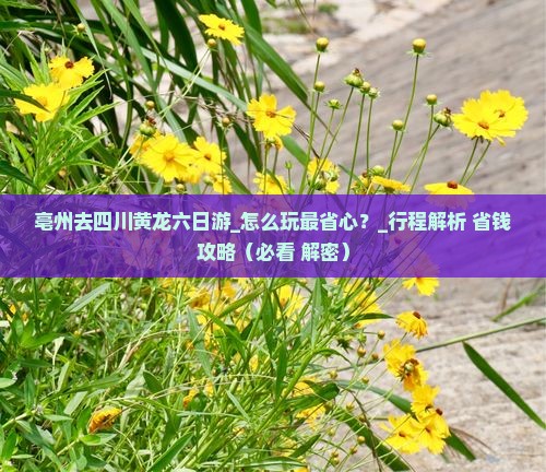 亳州去四川黄龙六日游