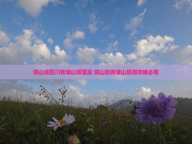 保山去四川青城山哪里玩 保山去四川青城山哪里玩