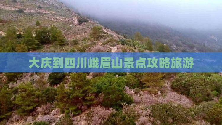 大庆到四川峨眉山哪里玩