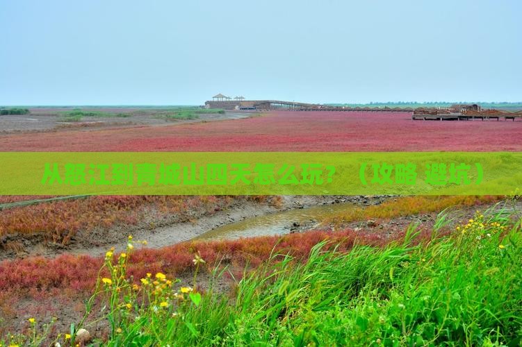怒江去四川青城山四日游