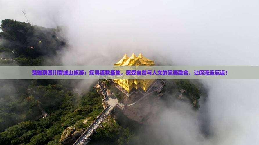 楚雄到四川青城山旅游