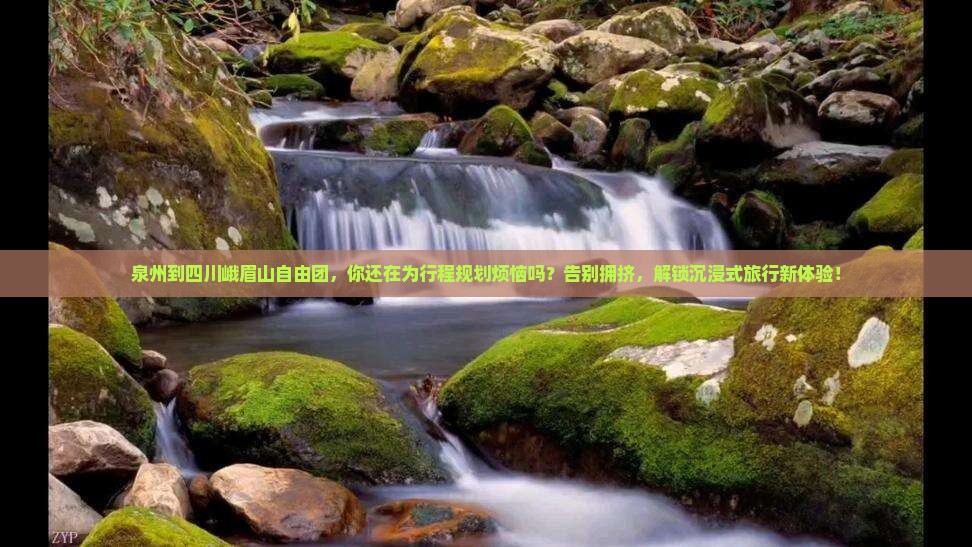 泉州到四川峨眉山自由团
