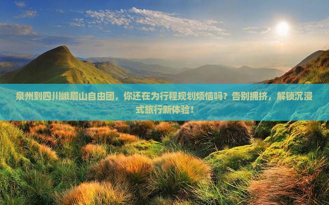 泉州到四川峨眉山自由团