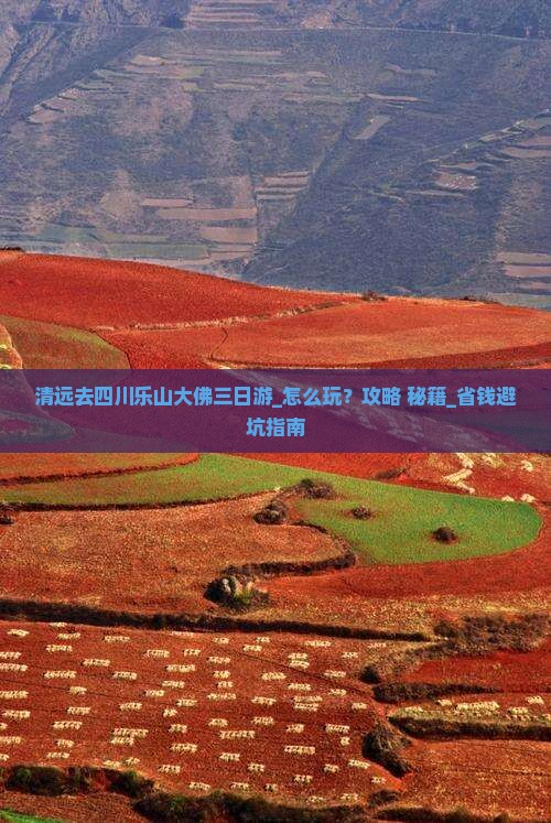 清远去四川乐山大佛三日游