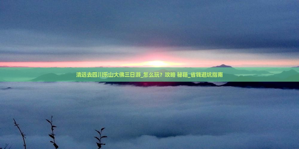 清远去四川乐山大佛三日游