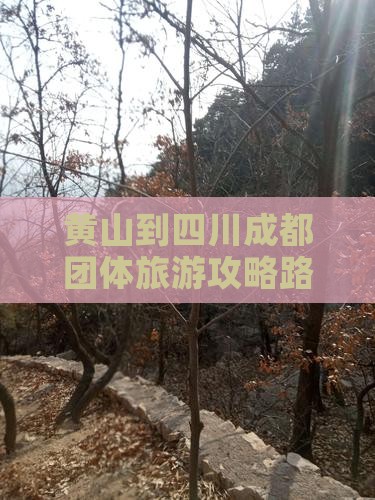 黄山到四川成都团体旅游