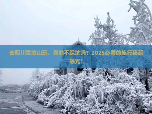 来宾去四川青城山旅行社