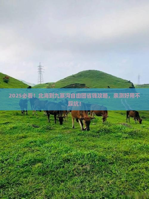 北海到四川九寨沟自由团