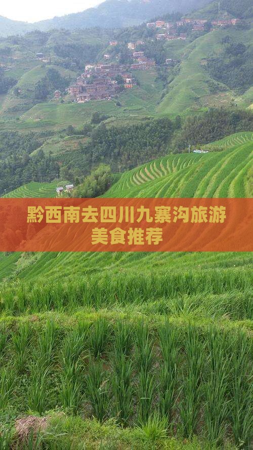 黔西南去四川九寨沟旅游小吃