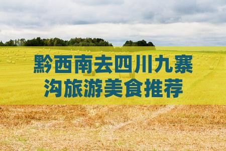 黔西南去四川九寨沟旅游小吃
