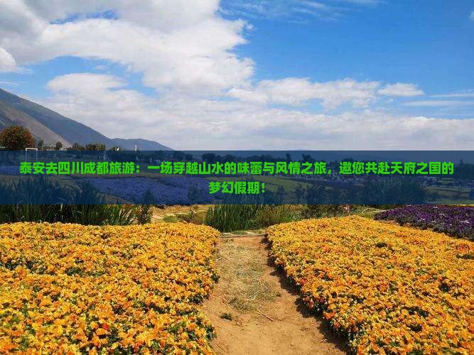 泰安去四川成都旅游