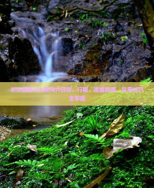 长沙去四川九寨沟六日游