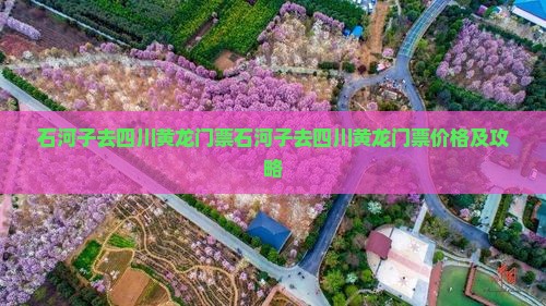 石河子去四川黄龙门票