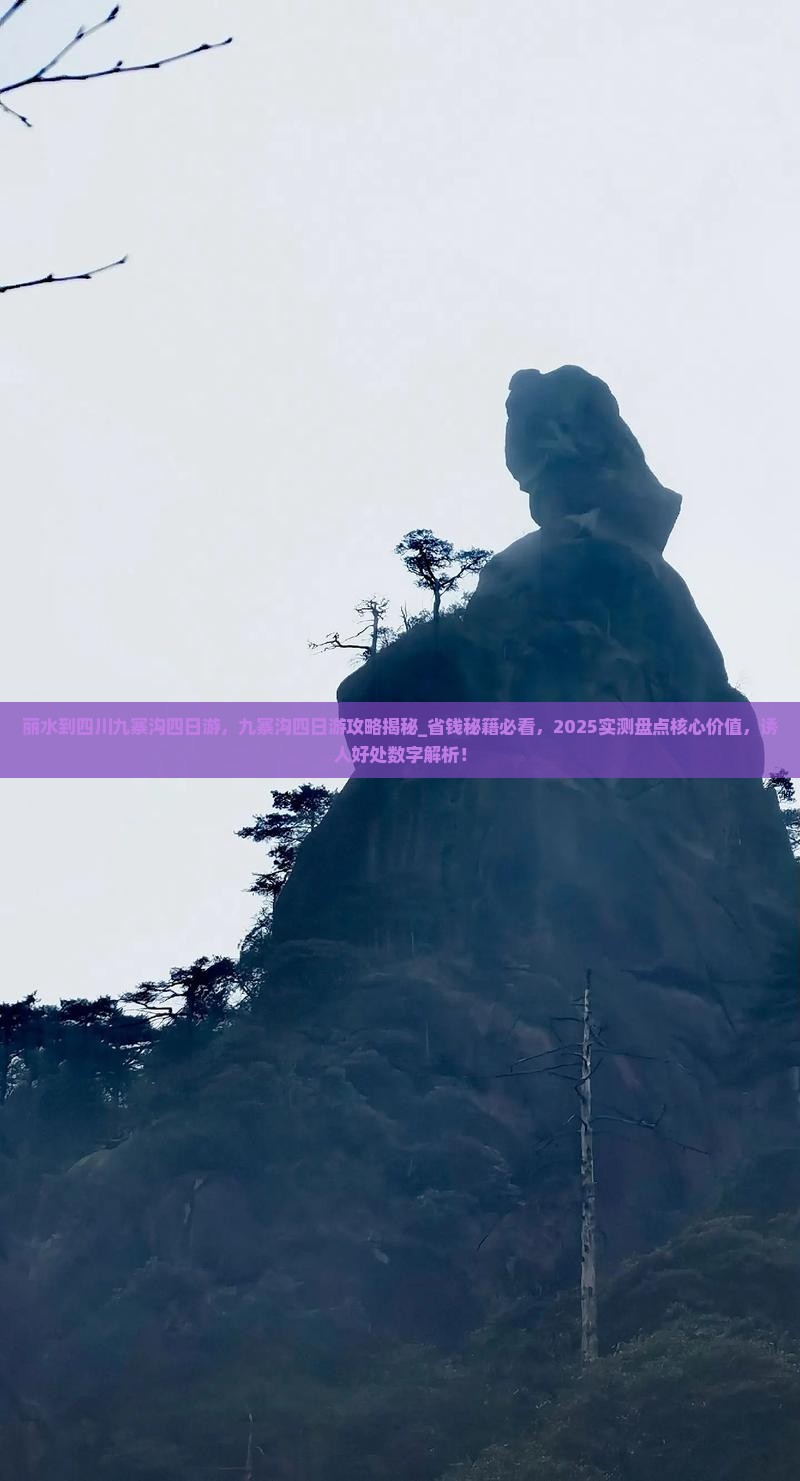 丽水到四川九寨沟四日游