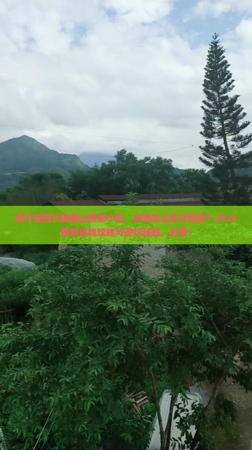 咸宁去四川峨眉山旅游小吃 咸宁去四川峨眉山旅游小吃