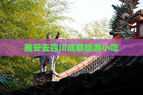 雅安去四川成都旅游小吃