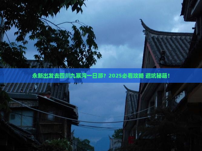 永新去四川九寨沟一日