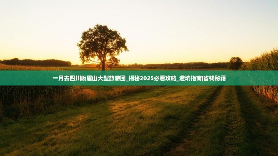 一月去四川峨眉山大型旅游团