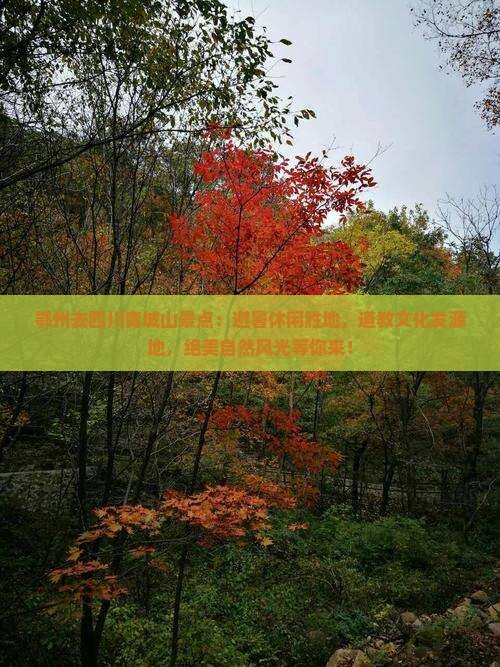 鄂州去四川青城山景点