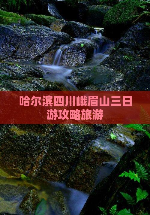 哈尔滨去四川峨眉山三日游