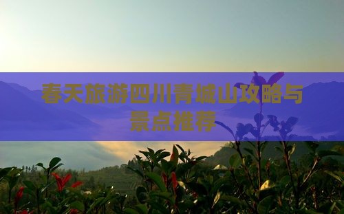 春天到四川青城山旅游