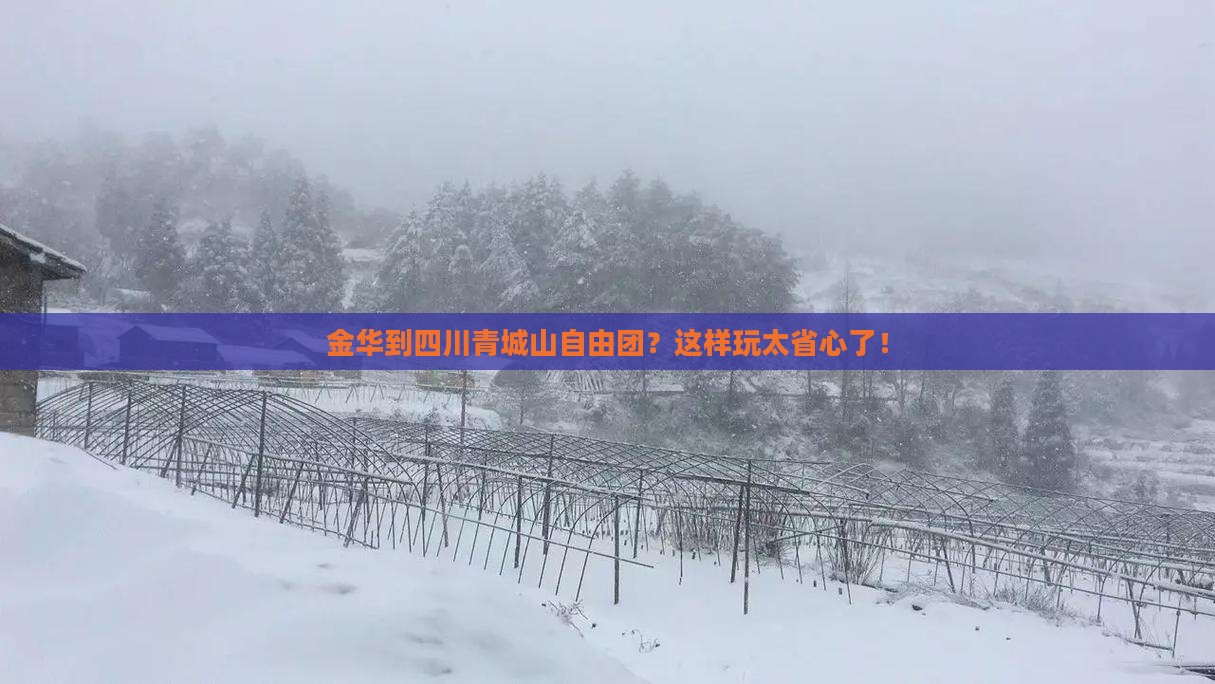 金华到四川青城山自由团