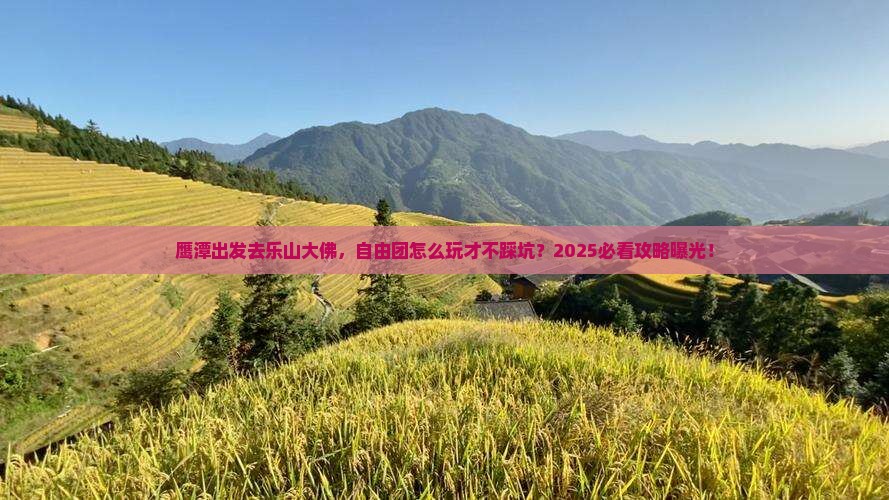 鹰潭到四川乐山大佛自由团