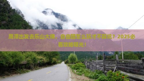 鹰潭到四川乐山大佛自由团