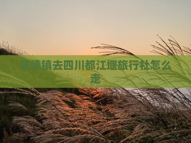 景德镇去四川都江堰旅行社
