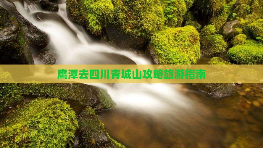 鹰潭去四川青城山景点