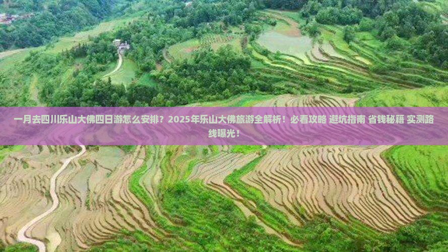 一月去四川乐山大佛四日游