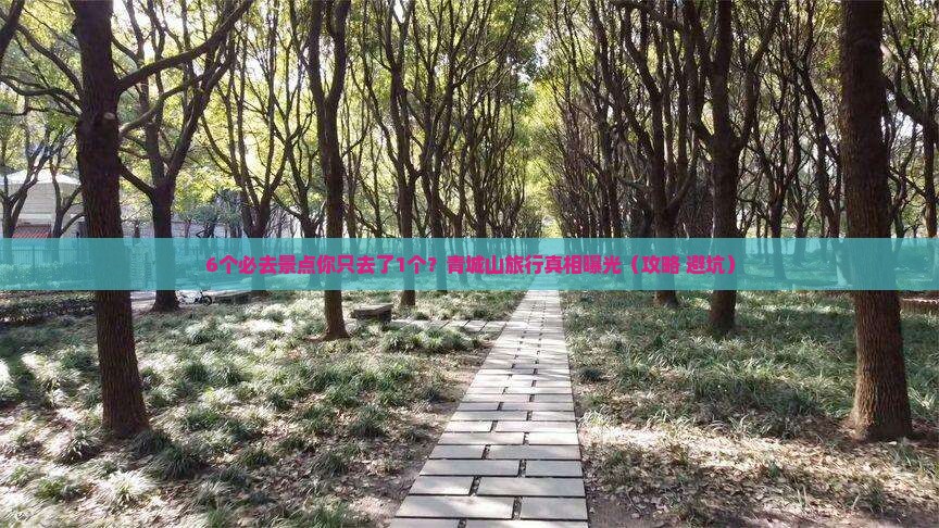 夏天到四川青城山旅行社