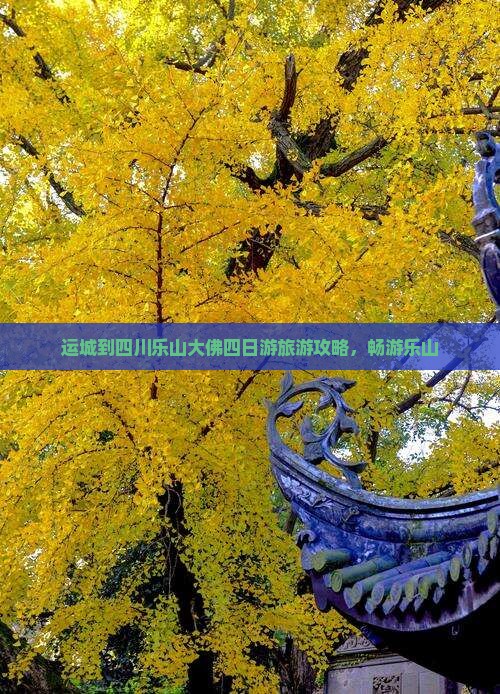 运城到四川乐山大佛四日游