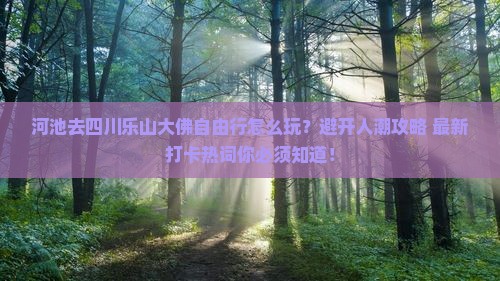 河池去四川乐山大佛自由行