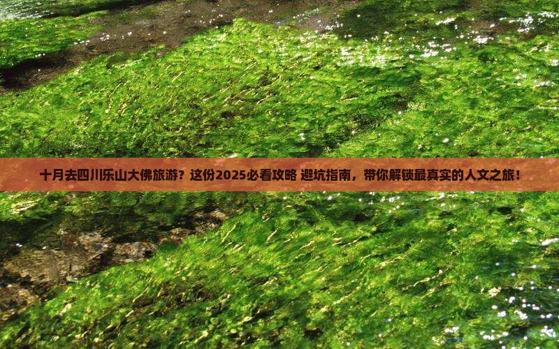 十月去四川乐山大佛旅游