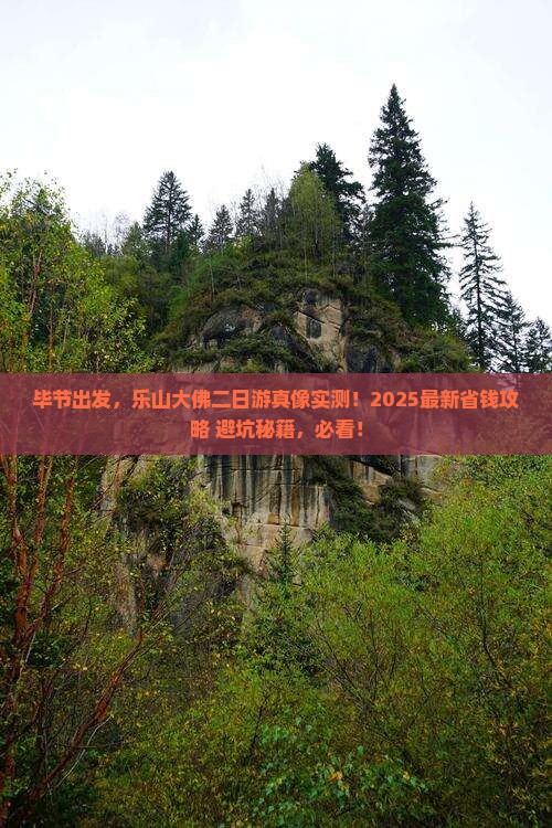 毕节去四川乐山大佛二日游