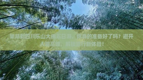 巢湖到四川乐山大佛五日游